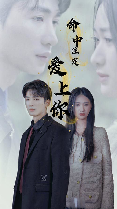 命中注定爱上你封面图