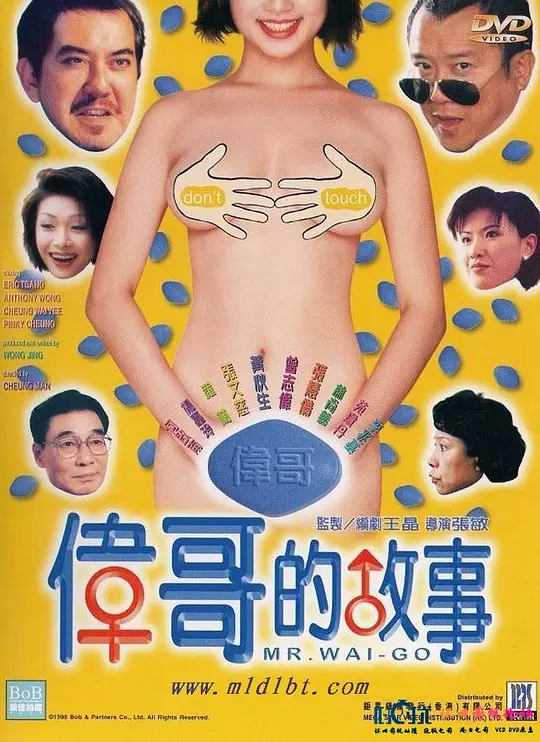 伟哥的故事封面图