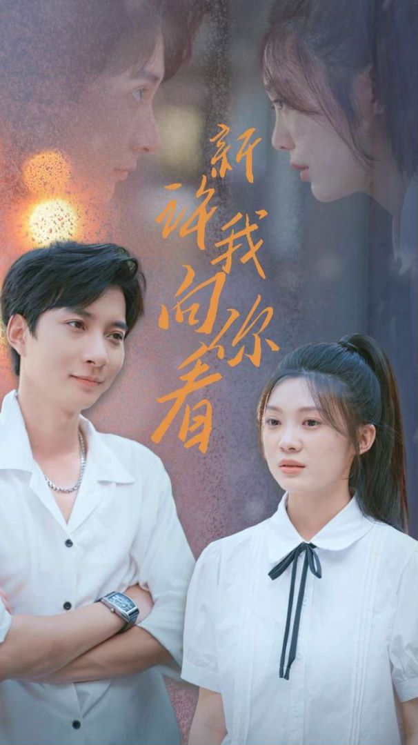 新许我向你看封面图