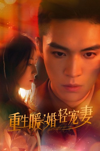 重生暖婚轻宠妻封面图