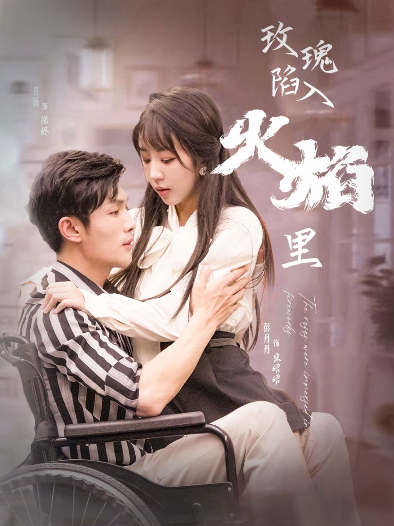 玫瑰陷入火焰里封面图