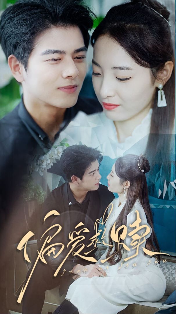 偏爱救赎封面图