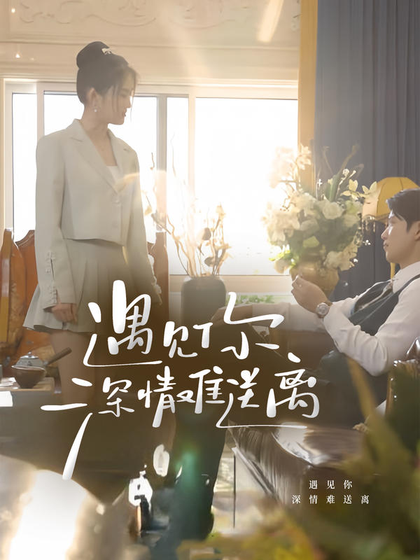 遇见你，深情难送离封面图