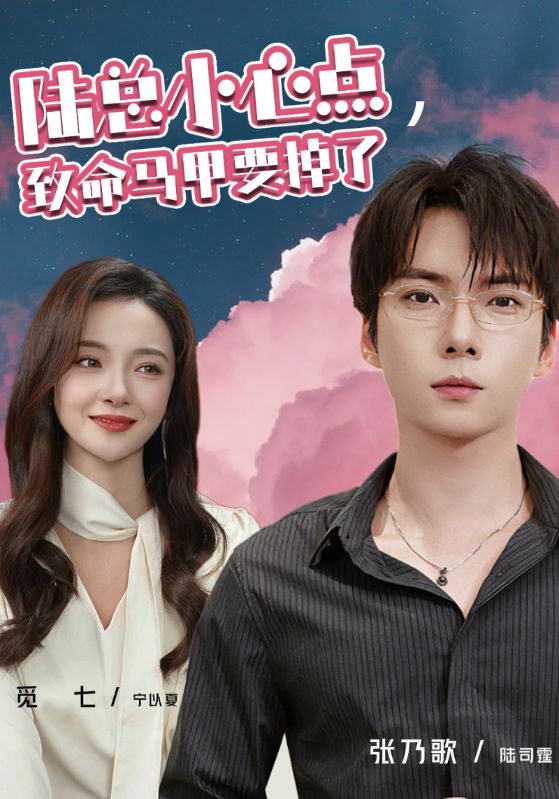 陆总小心点，致命马甲要掉了封面图