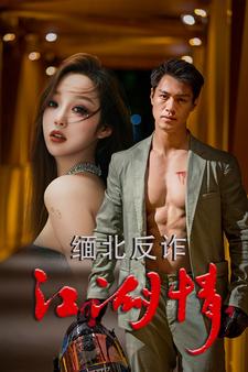 缅北反诈江湖情封面图