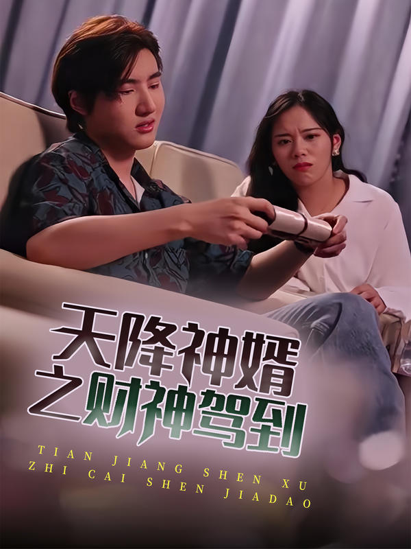 天降神婿之财神驾到封面图