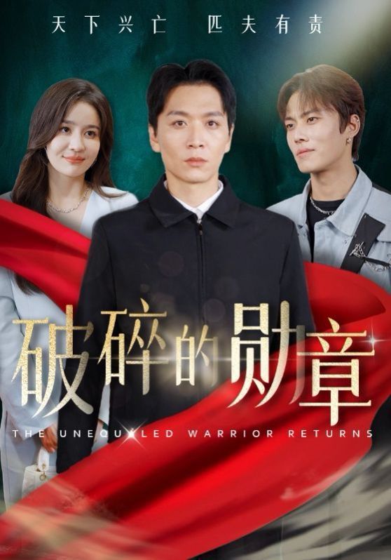 破碎的勋章（被戏子侮辱后我国士的身份曝光）封面图