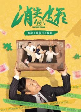 消失的皮箱封面图