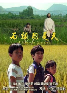 石头的夏天封面图