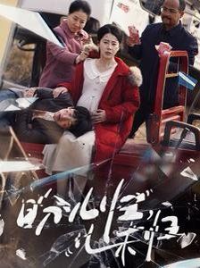 盼儿归儿未归封面图