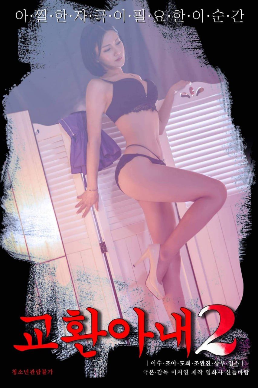 交换妻子2封面图