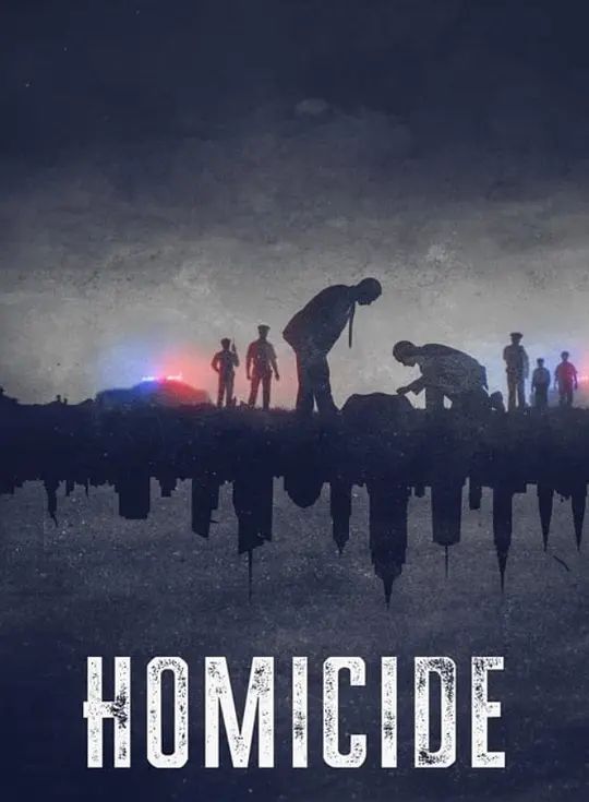 凶杀重案实录 纽约 第二季封面图