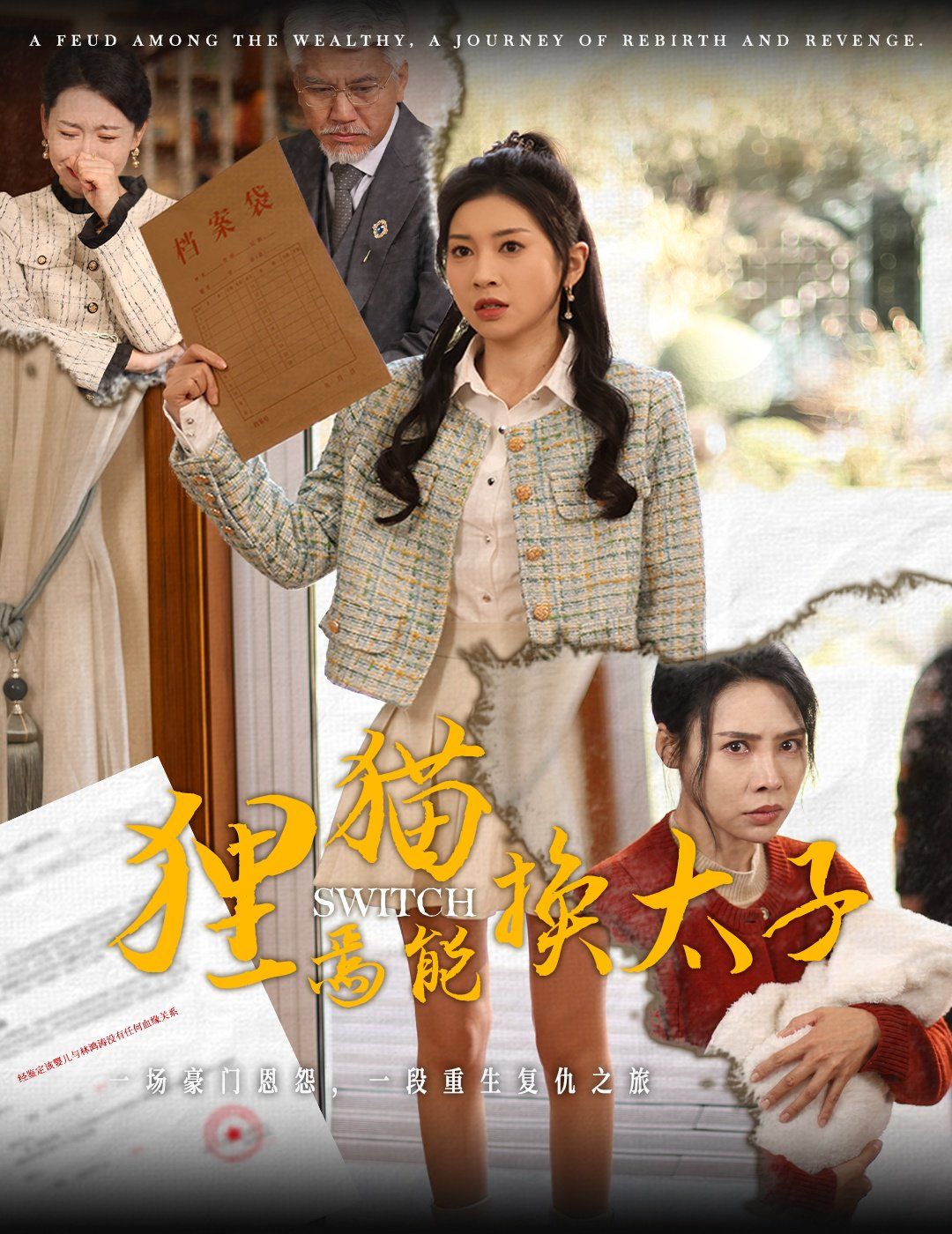 狸猫焉能换太子封面图