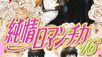 纯情罗曼史 OAD封面图