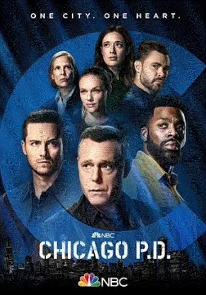 芝加哥警署第9季封面图