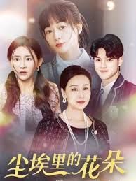 港圈大佬把我宠上天(尘埃里的花朵)封面图