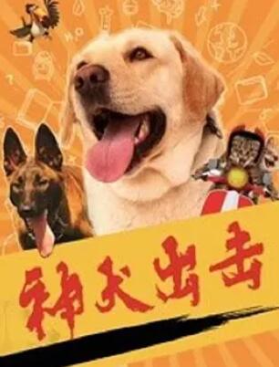 神犬出击封面图