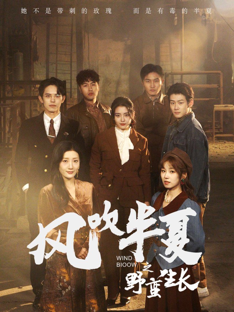 风吹半夏之野蛮生长封面图
