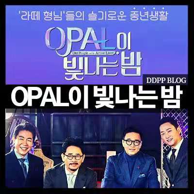 OPAL闪耀的夜封面图