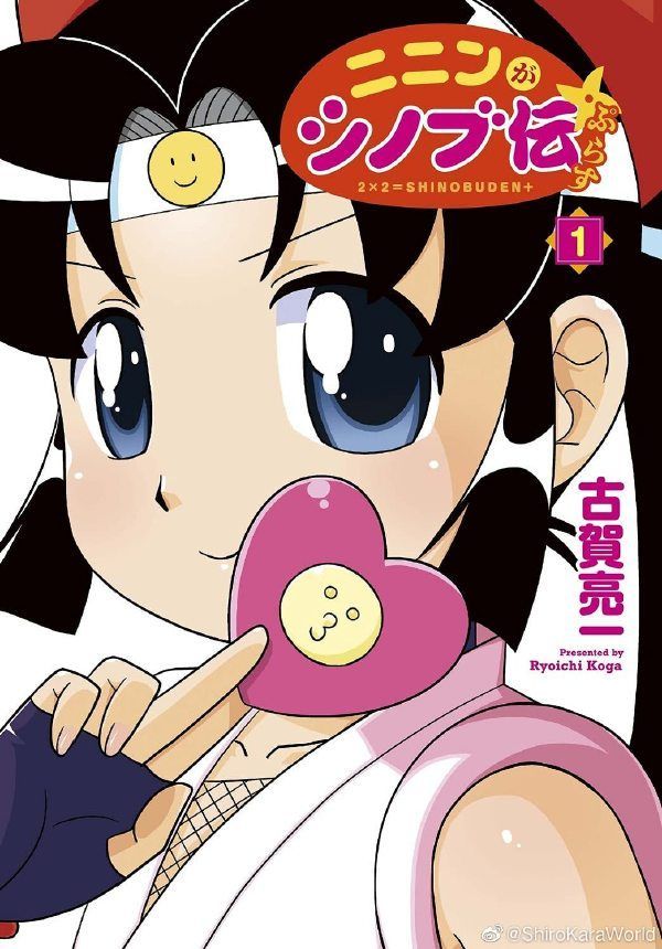 酷伊忍者传封面图