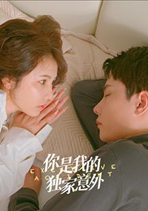 你是我的独家意外封面图