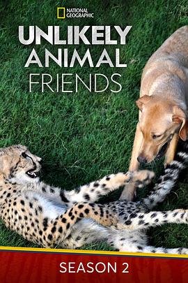 不可思议的好朋友第二季封面图