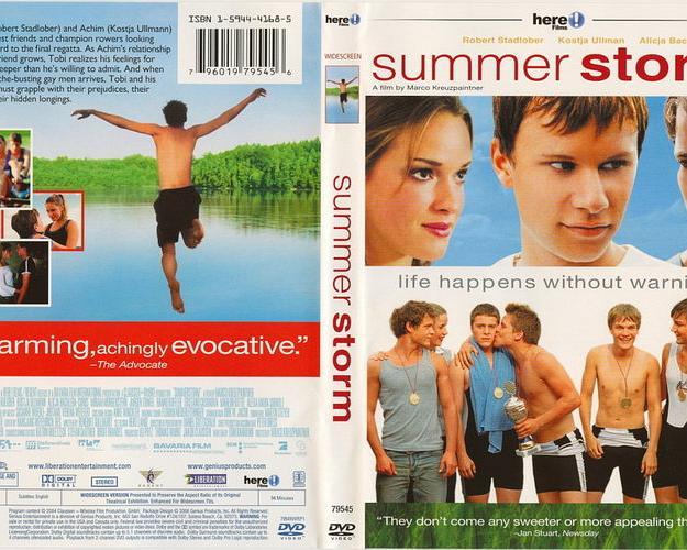 夏日风暴封面图