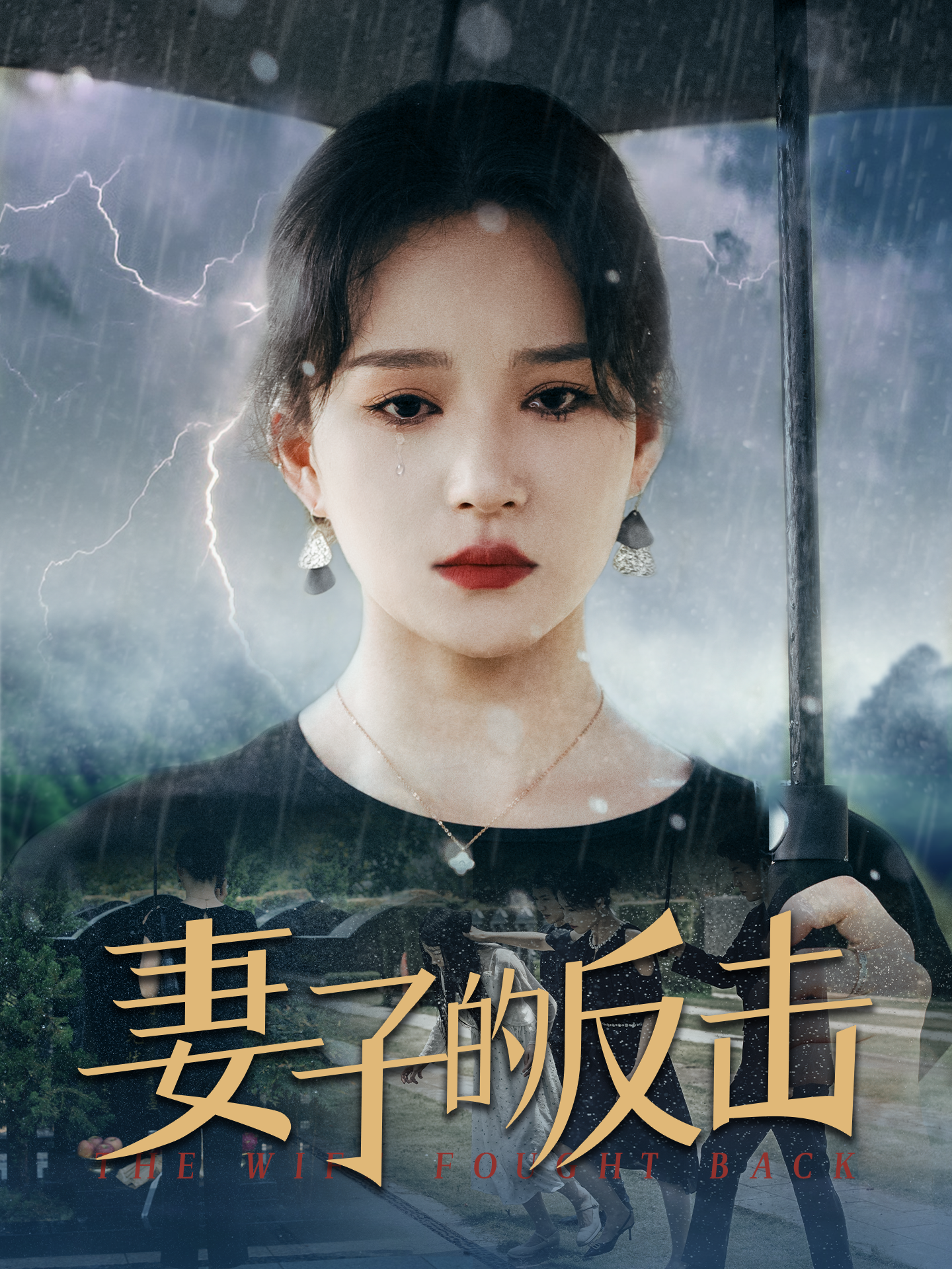 妻子的反击2024封面图