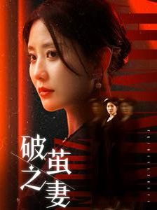 破茧之妻 婚姻的救赎封面图