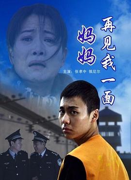 妈妈再见我一面封面图