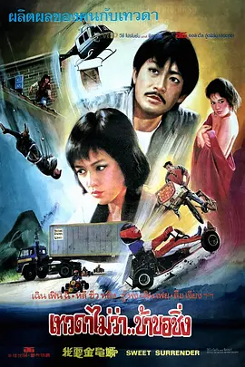 我要金龟婿封面图