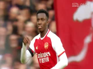 英超 纽卡斯尔联vs阿森纳 (洪荒) 20231104封面图