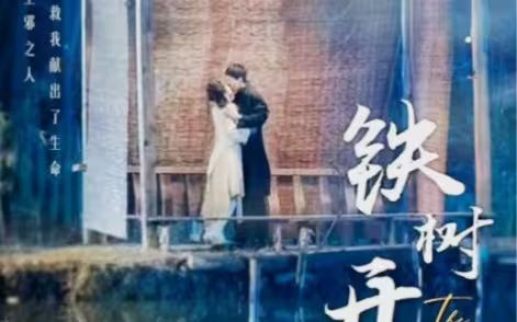 铁树开花封面图