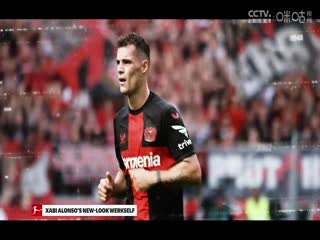 德甲  美因茨vs斯图加特 (刘洪新) 20230916封面图