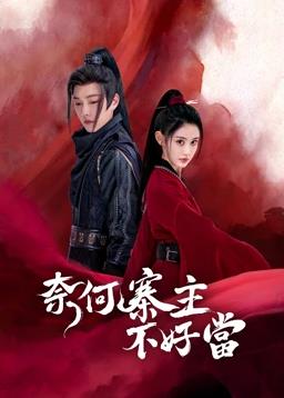 奈何寨主不好当封面图