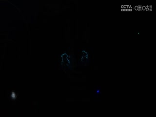 NBA杯 鹈鹕VS独行侠 20241120封面图