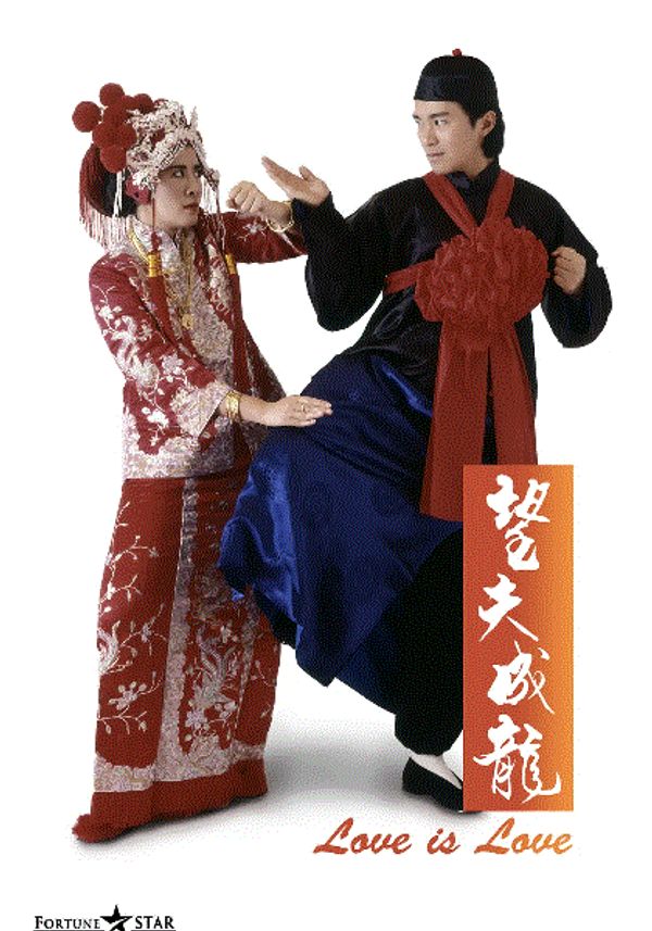 望夫成龙(粤语)封面图