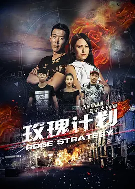 玫瑰计划封面图