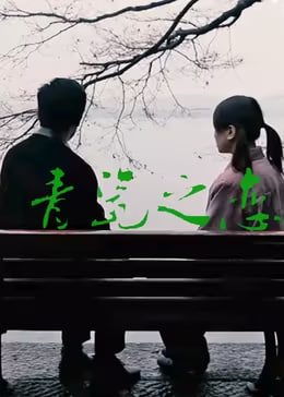 青瓷之恋封面图