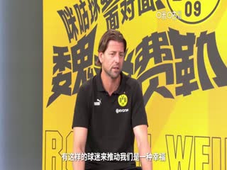 德甲 霍芬海姆vs多特蒙德 (涂远) 20230929封面图