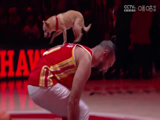 NBA常规赛 凯尔特人VS老鹰 20241105封面图