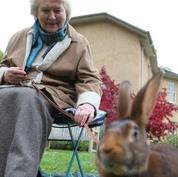 和帕特里夏·劳特利奇一起追寻碧翠丝·波特封面图