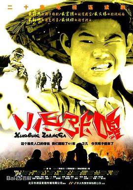 小兵张嘎2004封面图