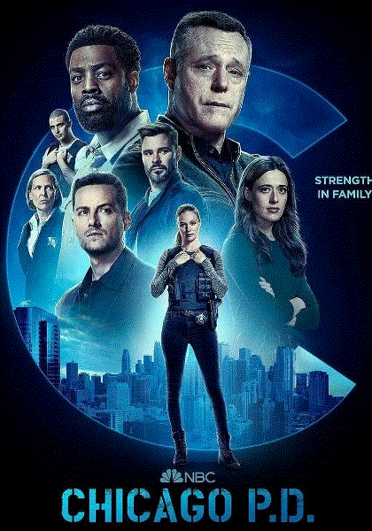 芝加哥警署第10季封面图