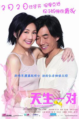 天生一对(2006)封面图