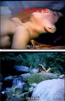 红楼梦淫史封面图