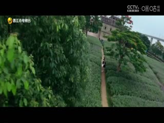 国际大体联足球世界杯  肯雅塔大学vs斯普利特大学 20231021封面图