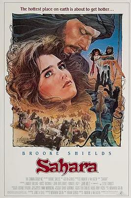 撒哈拉1983封面图