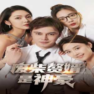 废柴赘婿是神豪封面图