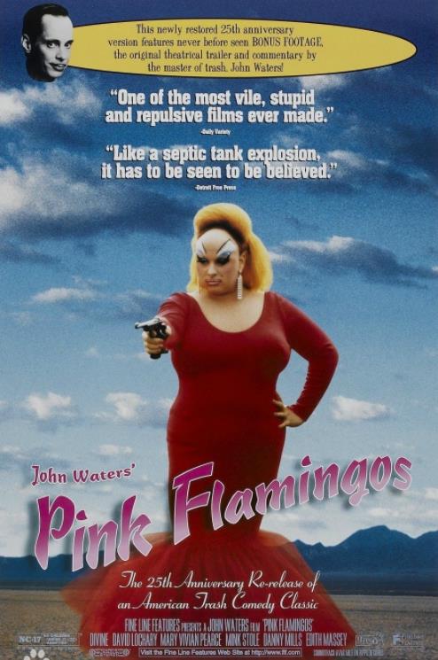 粉红色的火烈鸟封面图